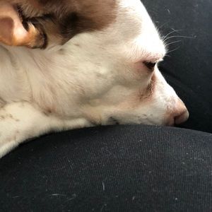 Meet your Posher, Jill